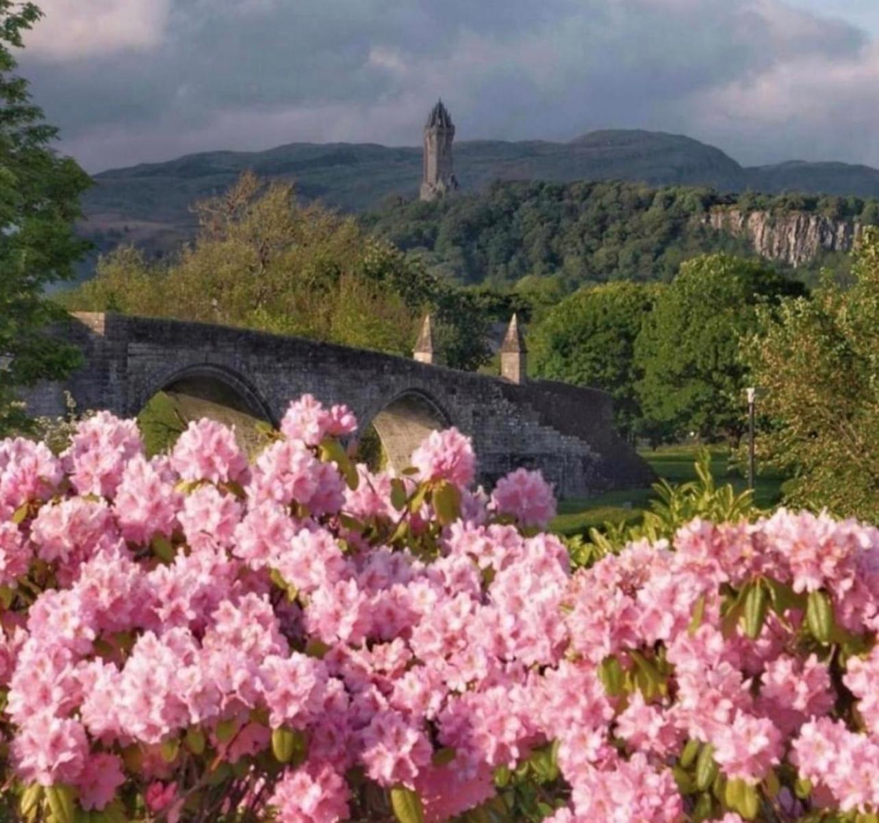 Cosy Cottage Stirling Exterior foto
